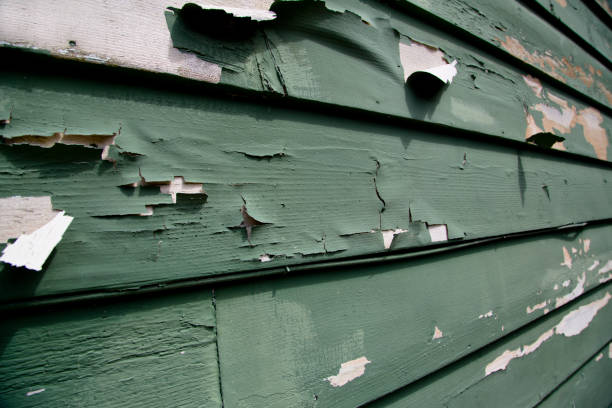 Best Demolition Debris Removal  in Lemmon, SD